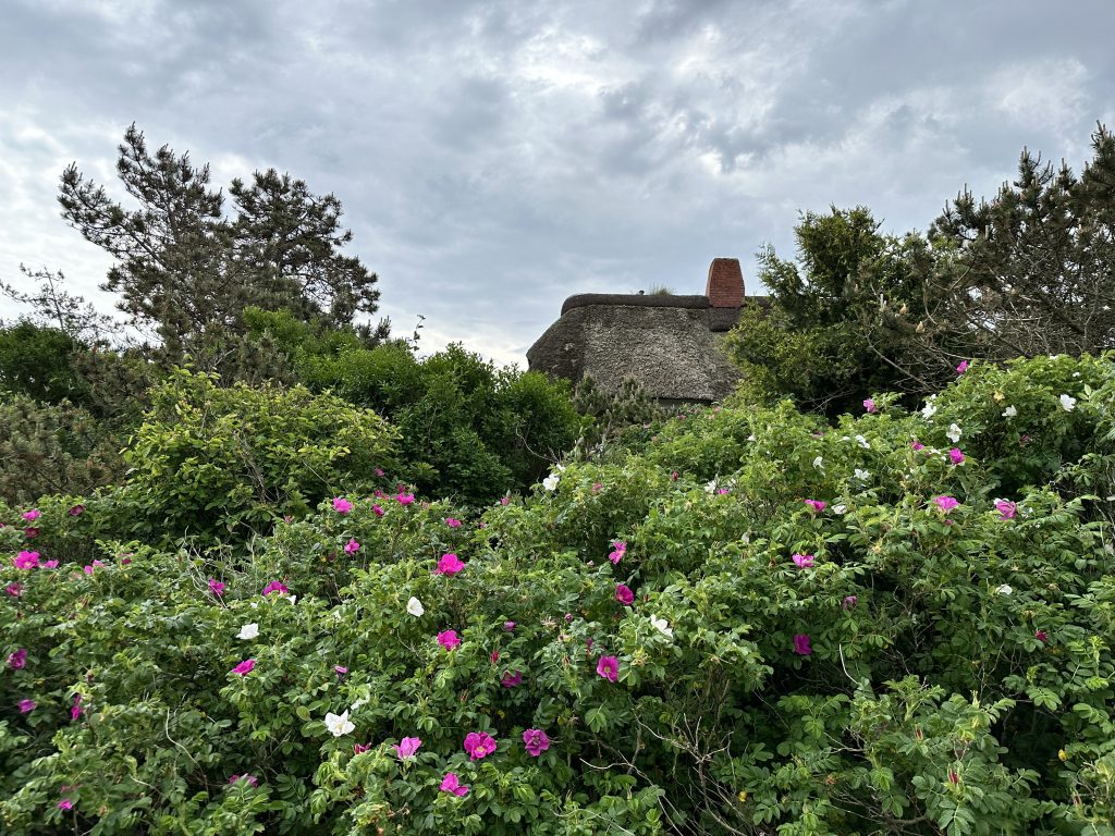 Immobilien auf Sylt
