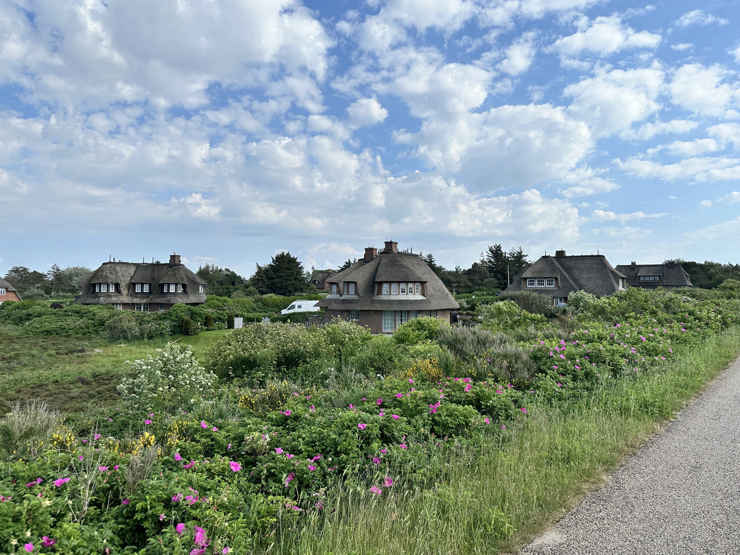Nachhaltige Immobilien auf Sylt