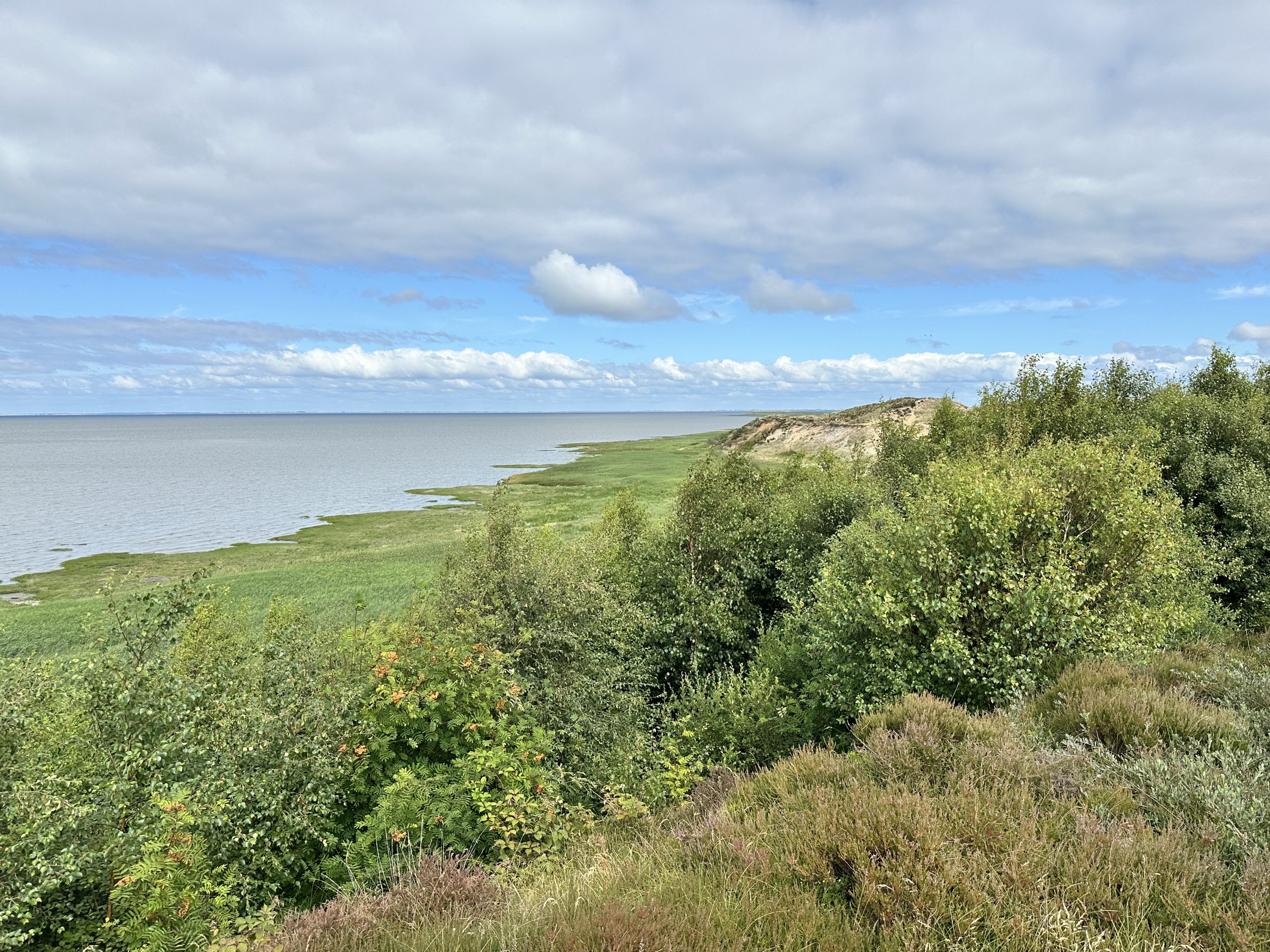 Morsum Kliff